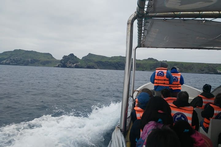 Isla Damas Chile