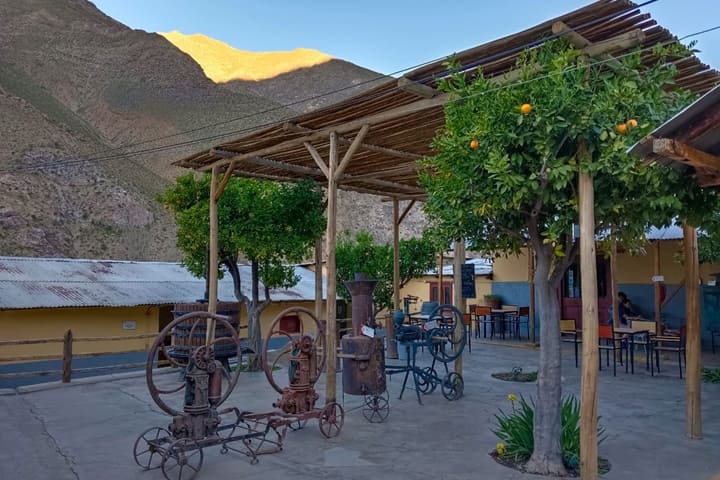 Pisqueras Valle de Elqui