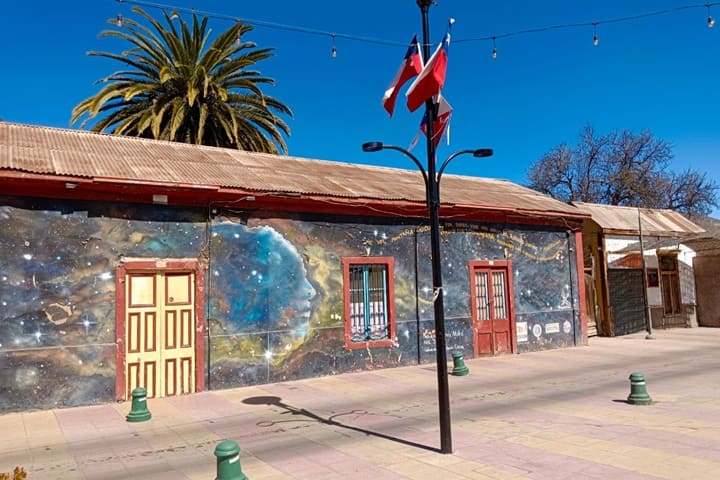Vicuña Chile