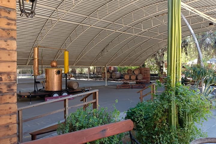 Planta Capel Vicuña