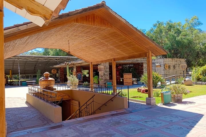 Planta Capel Vicuña