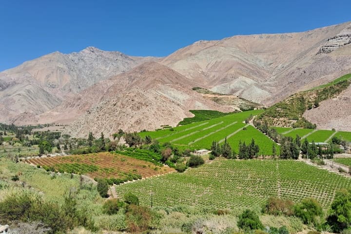 Lee más sobre el artículo Descubre el Místico Valle de Elqui: Naturaleza, Cultura y Astroturismo