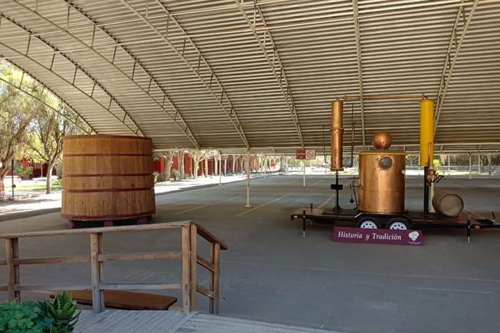 Pisqueras Valle de Elqui