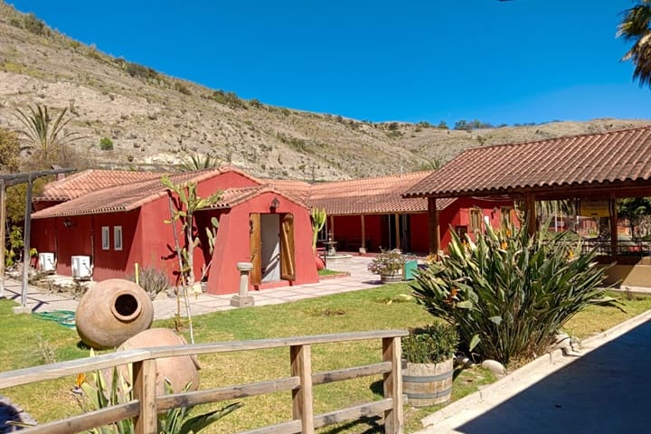 Pisqueras Valle de Elqui