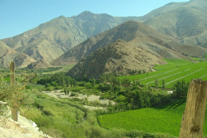 Valle de Elqui