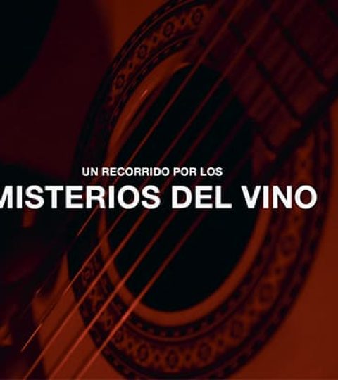 Despierta-tus-Sentidos-5